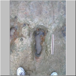 100_1235(07-30-2009p) mod.JPG